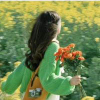 香蕉VPN加速器的iOS版VPN用户shiya对此非常满意。